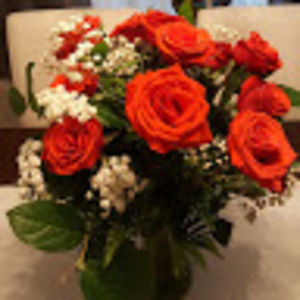 Meet your Posher, Luciane